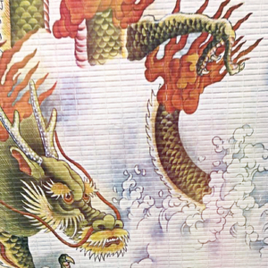 Lilly Pad Reflection