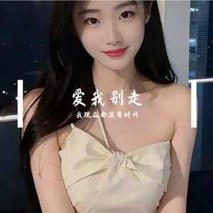 爱我别走 伴奏