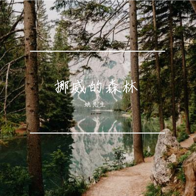 挪威的森林封面