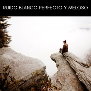 Cabina De Ruido Blanco