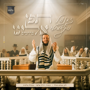 תפן אלינו