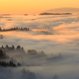 法镜寺 I 雨声和木鱼声Vol16