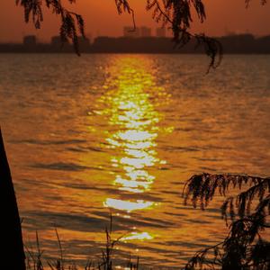 独家浪漫（prod.EVO MUSIC）