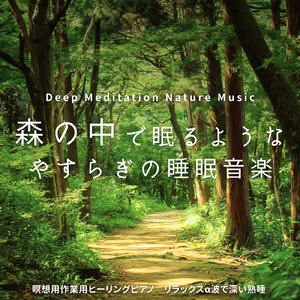 森の風景の調べ