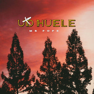 UD Huele