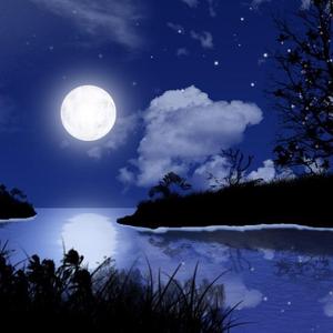 月光奏鸣曲（手机录制Demo)