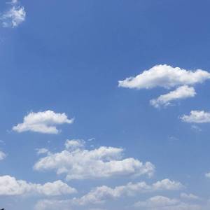 咚巴拉（翻自 王丽娜）