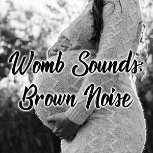 Baby Womb Noise
