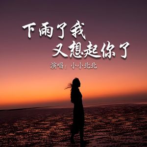 下雨了我又想起你了