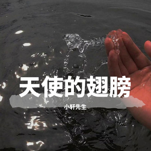 天使的翅膀