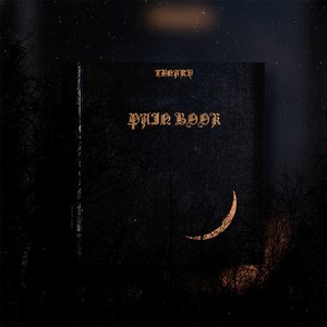 Pain Book