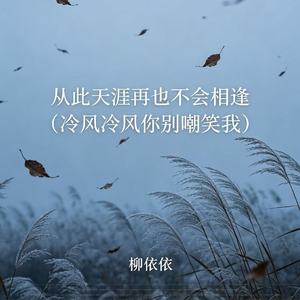 从此天涯再也不会相逢(冷风冷风你别嘲笑我)