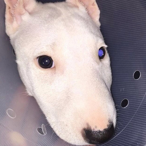 Temu - TakeTheFunkFromMe(DeeSh1ne edit.)