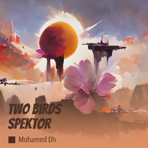 Two Birds Spektor