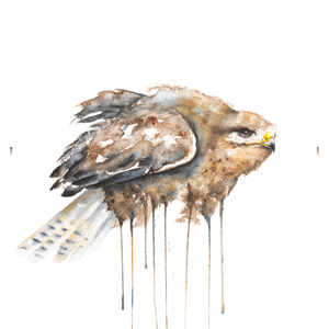 The Ballad of the Ninety-Nines