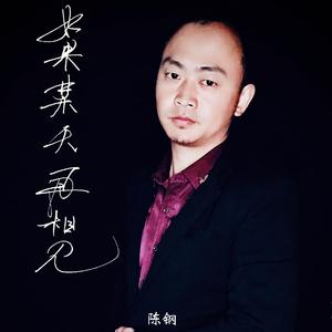 如果某天再相见 (DJ尼保版)