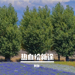 前行的印记
