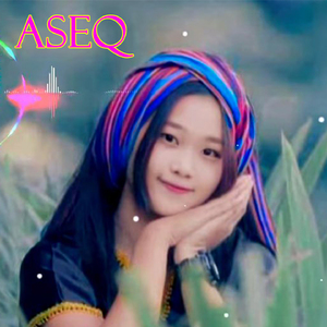 Aseq (Cover)