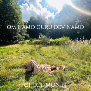 Om Namo Guru Dev Namo