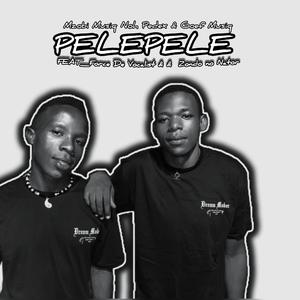 Pelepele (feat. Goef Musiq, Force De Vocalist & Zondo no Nator)