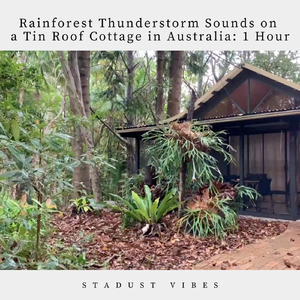 Rainforest Thunderstorm Sounds on a Tin Roof Cottage in Australia: One Hour