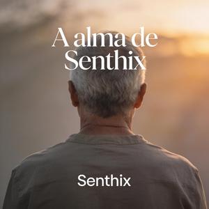 Toalete da beleza à casa de banho