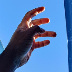 Seeking Something New