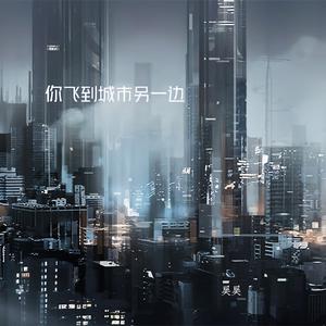 你飞到城市另一边