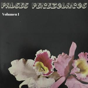 LAS BELLAS NOCHES DE MAIQUETIA