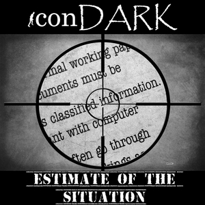 Estimate of the Situation