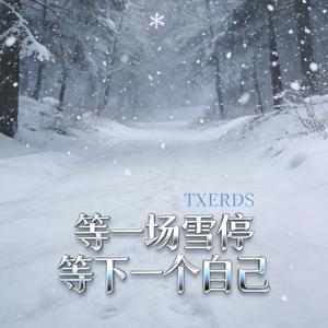 等一场雪停 等下一个自己