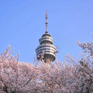 事件的地平线中文版