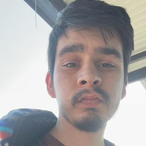 A Morning Concerto From My Bedroom