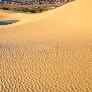 公主们召唤老爸的最佳方式