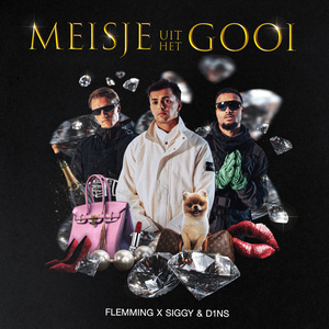 Meisje uit het Gooi
