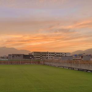 她她她（翻自 红双囍）