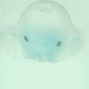 Bergamot (Casio Mix) (Casio Mix)