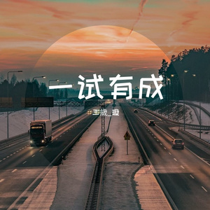 一试有成