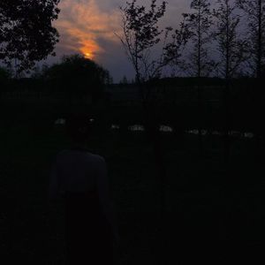 梦伴（Cover 李悦君）