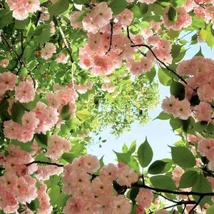 你是我疲惫生活唯一的答案