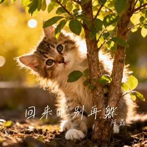回来吧别再躲