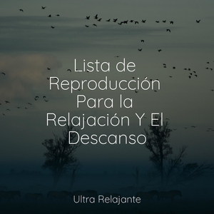 Mente Abierta