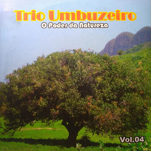 Forró Sanfonado (feat. Caju e Castanha)