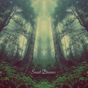 Sweet Dreams