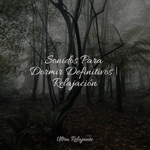 Horizontes Infinitos