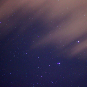 Starry