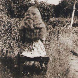 桜が散る窓辺にてお座りください。