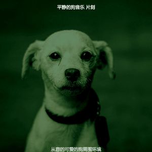 一尘不染放松的狗印象数