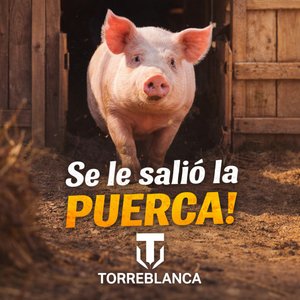 Se le Salió la Puerca