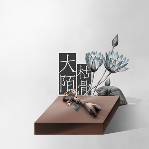 【大陌枯骨】我再也没有见过你